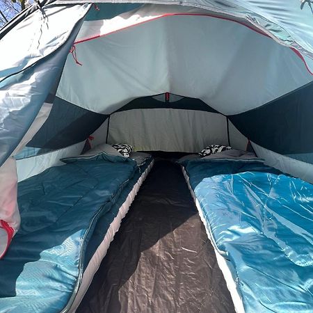 The Esn Kingsday Campsite Amsterdam Exteriör bild