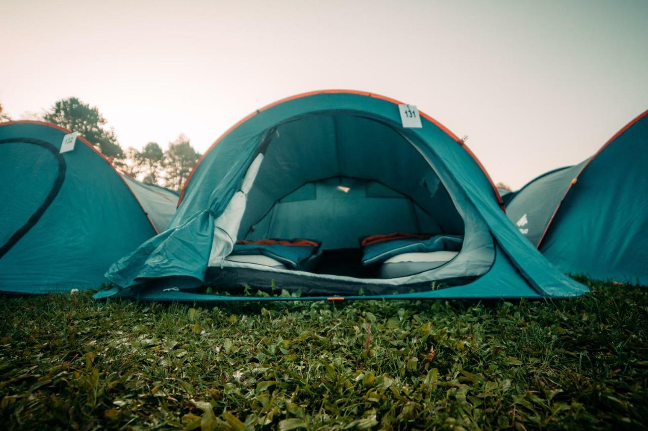 The Esn Kingsday Campsite Amsterdam Exteriör bild
